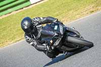 Middle Group Silver_Grey Bikes